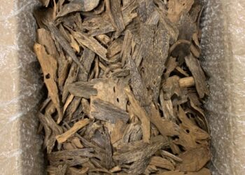 MAQIS Selangor berjaya mematahkan cubaan membawa masuk kayu cendana di KLIA2, Sepang, Selangor. - Foto Ihsan Maqis Selangor