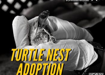 KEMPEN penajaan sarang penyu anjuran Lang Tengah Turtle Watch (LTTW) dan Universiti Putra Malaysia (UPM).