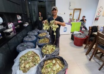 MUHAMAD YUSRI Mahat menunjukkan sebahagian daripada 12,000 biji ketupat nasi yang telah siap dianyam di Kampung Padang, Jalan Pokok Mangga, Melaka. - UTUSAN/AMRAN MULUP