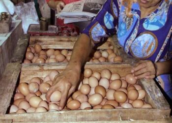 HARGA telur ayam di beberapa pasar di Jakarta terus menunjukkan peningkatan. - AFP