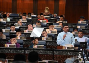 TUN Dr. Mahathir Mohamad berpendapat jika kerajaan sedia ada tidak mampu mentadbir dengan baik, maka Ahli Parlimennya boleh menjatuhkan kerajaan itu dan memilih kerajaan yang lain.