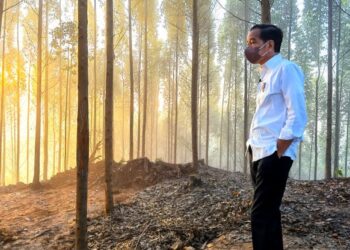 JOKO Widodo yakin pembangunan Nusantara berjalan mengikut fasa yag ditetapkan. - AFP