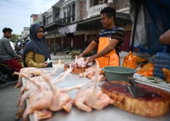 INDONESIA mengalami lebihan bekalan ayam antara 15 hingga 20 peratus. - AFP