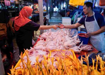 KERAJAAN perlu memastikan harga barangan sentiasa berada dalam kawalan dan harga tidak terlalu mahal. – GAMBAR HIASAN/AMIR KHALID