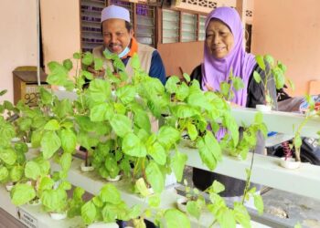 TANAMAN menggunakan kaedah hidroponik dapat membantu menyelesaikan masalah kenaikan harga makanan.