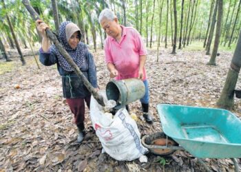 GESAAN supaya harga getah dinaikkan sehingga RM5 sekilogram adalah amat wajar.