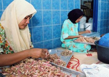 AHLI Kumpulan Nelayan Wanita (Kunita) di Kelantan mendapat banyak manfaat daripada program keusahawanan sosial.