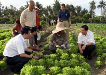 PETANI-PETANI kecil yang menanam sayur di atas tanah yang diusahakan mereka tidak seharusnya diusir keluar secara paksa. – GAMBAR HIASAN