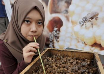 MASIH banyak yang perlu dilakukan oleh semua pihak dalam melestarikan penternakan lebah. - GAMBAR HIASAN