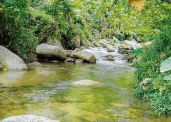 RAUB berpotensi untuk dimajukan sebagai hab pelancongan berasaskan alam semula jadi. – GAMBAR HIASAN/FARIZ RUSADIO