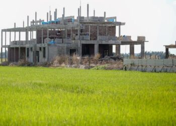 KERAJAAN perlu bertindak menghentikan fenomena sawah ditimbus untuk dibangunkan projek perumahan.  – UTUSAN/SHAHIR NOORDIN