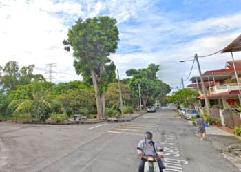KEJADIAN pokok tumbang bila-bila masa boleh berlaku berikutan fenomena perubahan iklim di Pulau Pinang. – GAMBAR HIASAN/GOOGLE STREET VIEW