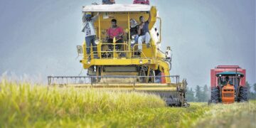 SEKTOR pertanian, perhutanan & perikanan meningkat
0.8 peratus, disebabkan peningkatan dalam indeks penanaman tanaman kekal. - GAMBAR HIASAN
