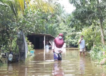 FATIMAH SABRAN berjalan dekat kawasan luar rumahnya memerhatikan keadaan banjir ‘termenung’ yang menenggelamkan kediamannya sejak Khamis lalu.