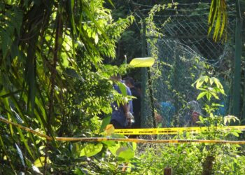 PIHAK polis dengan bantuan Unit K9, forensik dan pakar patalogi daripada HTJ membawa salah suspek ke kawasan belukar di  Taman Bukit Zamrud, Seremban bagi mengesan petunjuk atau bukti baharu yang dipercayai mempunyai kaitan dengan kes penemuan mayat wanita tanpa identiti dalam gaung.