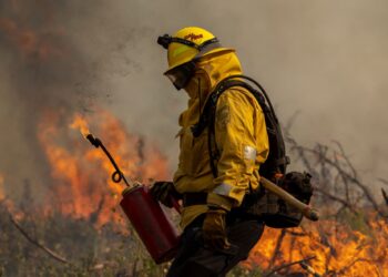 ANGGOTA bomba berusaha memadamkan kebakaran di Hutan Oak,berhampiran Mariposa, California.-AFP