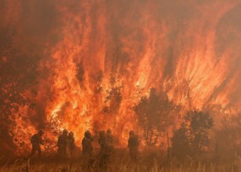 PASUKAN bomba memadamkan kebakaran hutan di Pumarejo de Tera di utara Sepanyol. - AFP