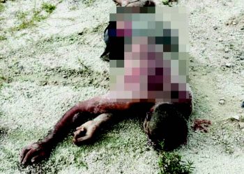 PENGAWAL keselamatan ditemukan mati dipercayai diserang gajah liar di lombong pasir Batu 6, Simpang
Perani, Mawai, Kota Tinggi, Johor, semalam.