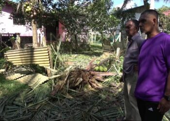 PENDUDUK risau dan bimbang tindakan sekumpulan gajah liar yang menceroboh kawasan perumahan rumah di Felda Bukit Sagu 1 di Kuantan, Pahang. - UTUSAN/ DIANA SURYA ABD WAHAB