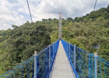 Panjang keseluruhan jejantas yang terletak 
dalam Taman Botani 
Kepong ini adalah 250 meter.