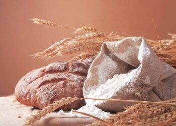 Krisis bekalan mendorong kenaikan harga gandum di pasaran global. – GAMBAR HIASAN/AGENSI