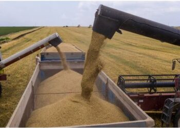 Ukraine dan Russia mengeluarkan lebih suku daripada dagangan gandum dunia. - GAMBAR HIASAN/AGENSI