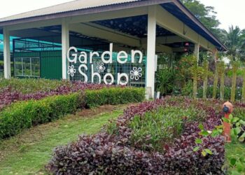 ANTARA pokok-pokok hiasan dan landskap yang dijual di Garden Shop di Taman Wetland, Putrajaya.