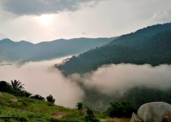 Mulai tahun depan, semua aktiviti pendakian di hutan simpan kekal yang berisiko di seluruh negara akan diwajibkan penggunaan khidmat malim gunung perhutanan (MGP).