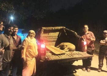 TUMINAH Kadi bersama anggota Perhilitan menghapuskan seekor babi liar yang merempuh penunggang motosikal dalam kejadian di Pantai Kundor, Melaka. - UTUSAN/AMRAN MULUP