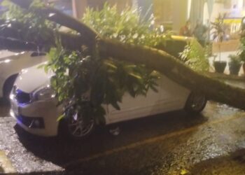 KEADAAN kenderaan yang dihempap pokok akibat hujan lebat di Kota Damansara, Selangor semalam.