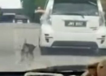TANGKAP layar sebuah video tular memaparkan sebuah kenderaan jenis Perodua Myvi sedang menarik seekor anjing menggunakan tali di Johor pada 8 April lalu.