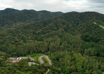 PEMANDANGAN udara Hutan Mossy di Gunung Brinchang yang terlibat dalam projek pembangunan hartanah dibimbangi menjejaskan ekosistem  di Cameron Highlands. - IHSAN REACH