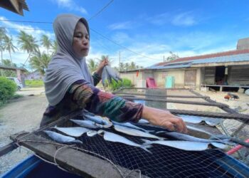 ROHANI Ya menjemur sebahagian ikan seliat yang ditempah pelanggan di Kampung Kubang Golok, Bachok, Kelantan, baru-baru ini.