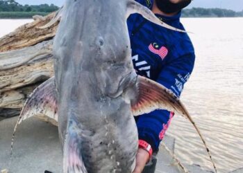 MOHAMAD Syafirdaus Hamat Shafi bersama ikan kenerak seberat 10.04 kilogram yang dipancing di Sungai Kelantan, berhampiran Kampung Kasar, Pasir Mas, Kelantan, Sabtu lalu. - UTUSAN/TOREK SULONG