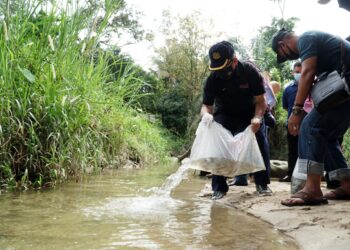 AHMAD Hamzah (kiri) melepaskan benih ikan ke dalam Sungai Batang Padang di Kampung Dusun Muda, Tapah hari ini. - UTUSAN/ZULFACHRI ZULKIFLI