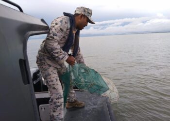 ANGGOTA Maritim Malaysia Zon Maritim Kuala Kedah menaikkan bubu naga dalam satu operasi khas di empat lokasi sepanjang perairan Yan.