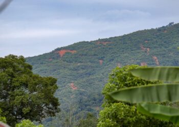 PEMANDANGAN Gunung Inas dari Kampung Iboi. Kelihatan tompokan kawasan tanpa pokok di gunung tersebut yang membimbangkan Penasihat Sahabat Alam Sik . -UTUSAN/SHAHIR NOORDIN