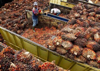 KERAJAAN tidak berkompromi sekiranya wujud elemen buruh paksa di negara ini. – GAMBAR HIASAN/AGENSI