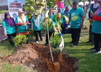 RAZIHAN Adzharuddin (tengah) sedang menanam pokok teduhan ketika program Hari Jerantut Rendah Karbon di bandar lama Jerantut di Jerantut, Pahang. - FOTO/HARIS FADILAH AHMAD