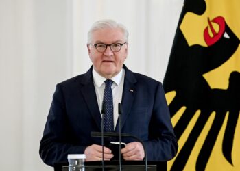 FRANK-WALTER STEINMEIER