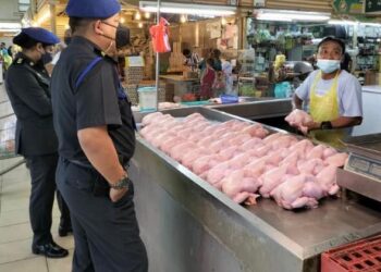 Kerajaan akan menyiasat dakwaan wujud kartel dalam industri perternakan ayam di negara ini.