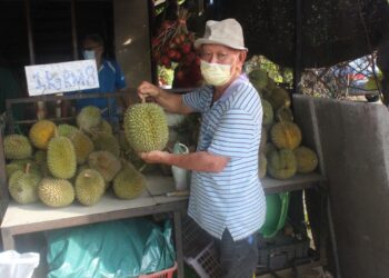 LOH Tin menunjukkan buah durian kampung yang dijualnya di Pekan Benut, Pontian, Johor. - UTUSAN/MUHAMMAD ZIKRI