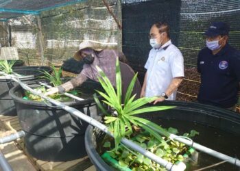CHONG Fat Full (tengah) melawat Projek Aquagro KRT Taman Kota Masai, di Pasir Gudang, Johor. -UTUSAN/KHAIRUL MOHD ALI
