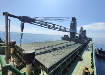 KAPAL kargo membawa muatan serbuk sisa sawit dari Vietnam ditahan Maritim Malaysia selepas disyaki bersauh tanpa kebenaran di perairan Johor Timur, Kota Tinggi, petang semalam.