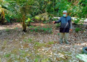 ISHAK Asari menunjukkan tempat di mana seorang lelaki menumbangkan seekor lembu kurang daripada dua minit secara berseorangan tahun lalu di Kampung Tenang, Segamat di Johor -UTUSAN/FARAHWAHIDA AHMAD