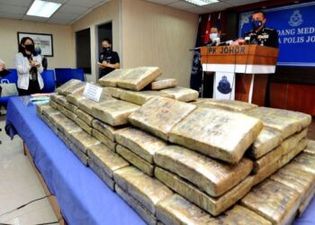 KETULAN ganja yang dirampas polis dalam beberapa serbuan di daerah ini dan Kulai pada sidang akhbar di IPK Johor di Johor Bahru. -UTUSAN/RAJA JAAFAR ALI