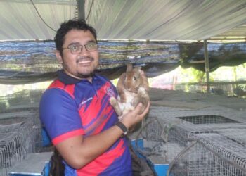 MOHD. Rashid Jamion bersama arnab yang diternaknya secara separuh masa di Jalan Lapis 1, Kampung Melayu Raya, Pekan Nanas, Pontian, Johor. - UTUSAN/MUHAMMAD ZIKRI