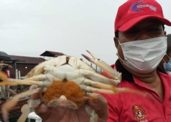 PROJEK rumah ketam dibangunkan UMT berupaya meningatkan pengeluaran benih ketam  renjung di Hua Kee Kelong, Selat Tebrau, Gelang Patah di Iskandar Puteri.