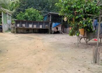 PONDOK kayu yang dijadikan lokasi tiga PATI bermain judi sabung ayam di Felda Bukit Waha, Kota Tinggi, Johor.