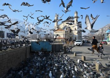 BURUNG merpati berterbangan di hadapan Masjid Shah-Do Shamshira di Kabul.-AFP